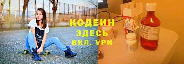 мдпв Горнозаводск