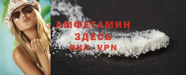 гидра Вязьма