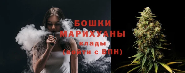 гидра Вязьма