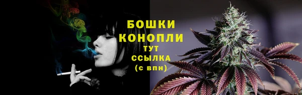 мдпв Горнозаводск