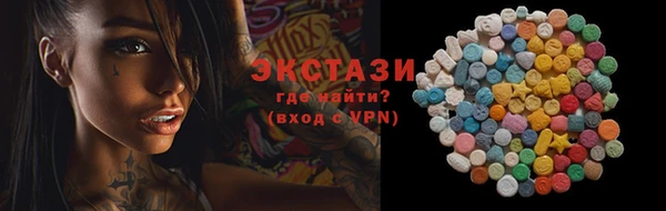 гидра Вязьма