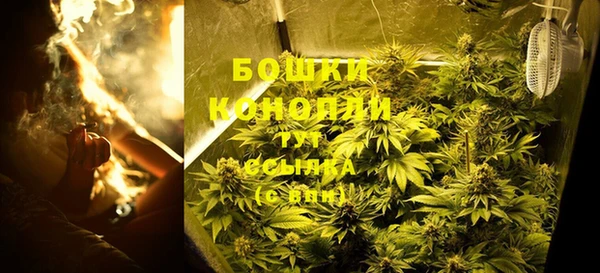 мдпв Горнозаводск