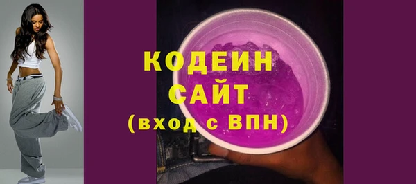 гидра Вязьма