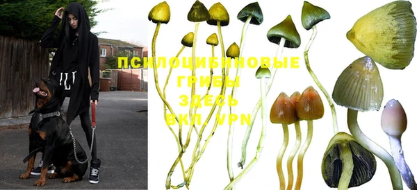 мдпв Горнозаводск