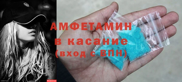 гидра Вязьма