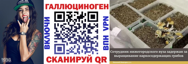Галлюциногенные грибы GOLDEN TEACHER  Гуково 