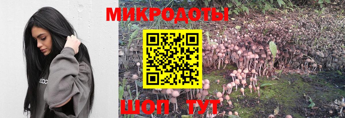 Псилоцибиновые грибы GOLDEN TEACHER Гуково