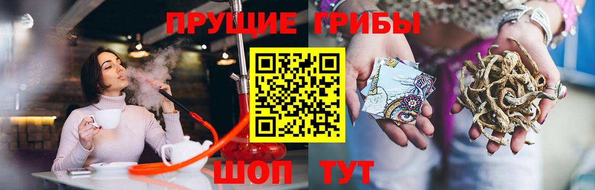Гуково  Галлюциногенные грибы Psilocybine cubensis  Вход с VPN 