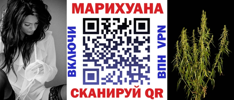 Канабис сатива  Гуково 